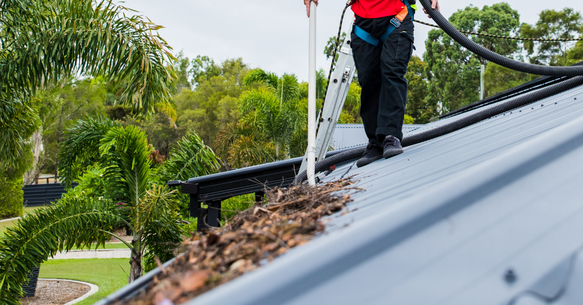 The economic benefits of regular gutter cleaning for Sunshine Coast homes