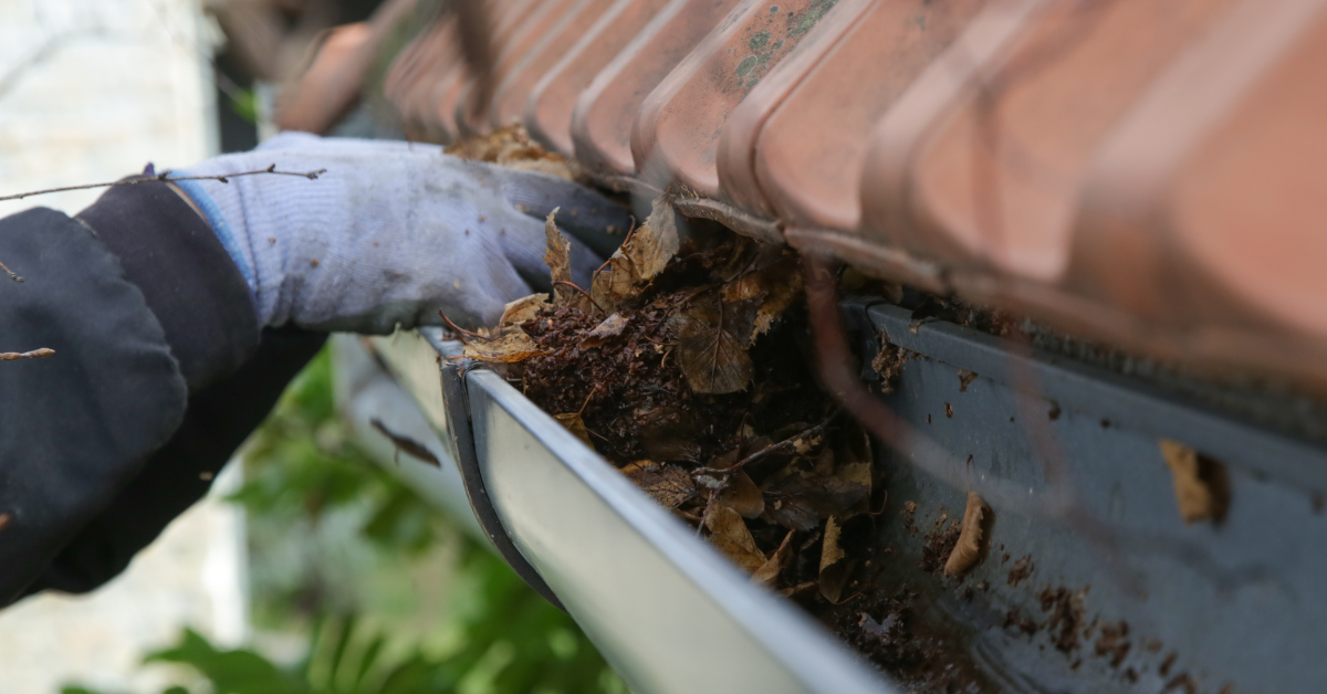 Exploring different techniques for gutter cleaning