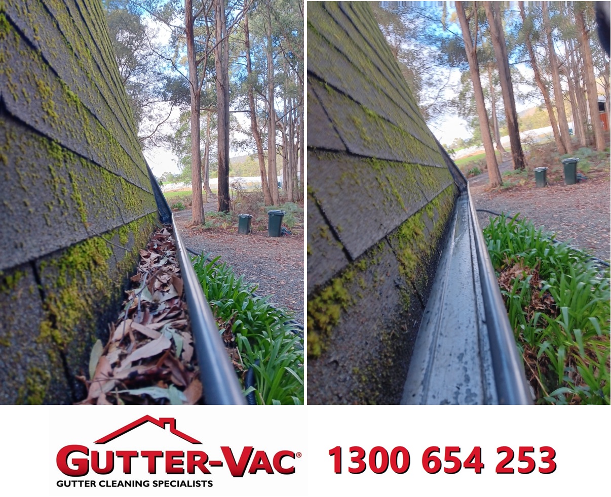 When should I get my gutters cleaned?