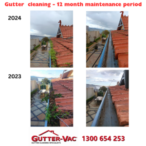 Gutter cleaning