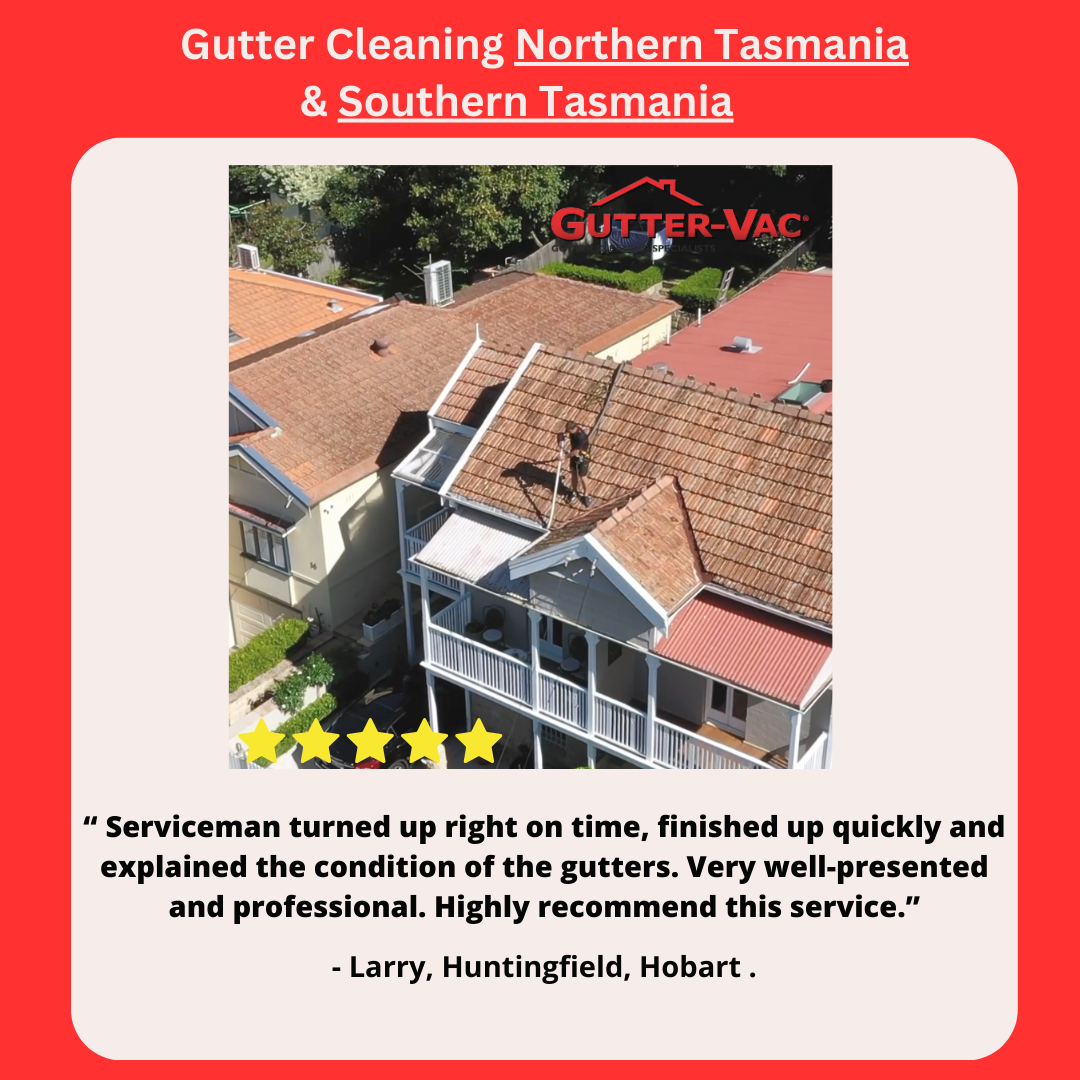 Experience our gutter cleaning team’s dedication!